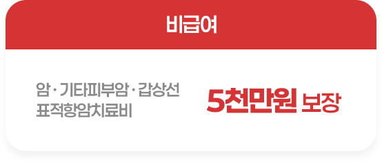 표적항암치료비 5천만원 보장